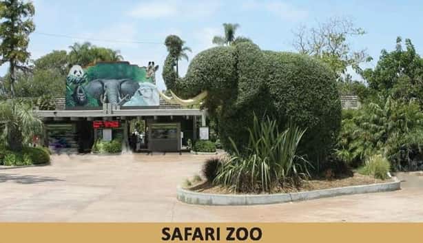 Blue World City Safari Zoo