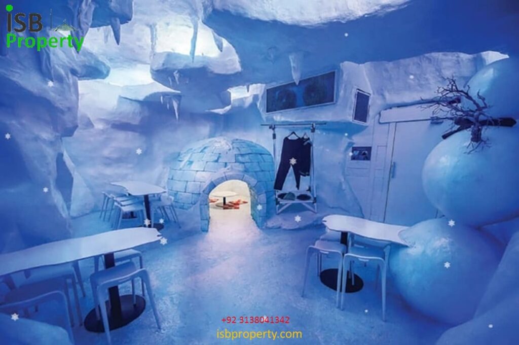 The Ice Mall Ice Museum
