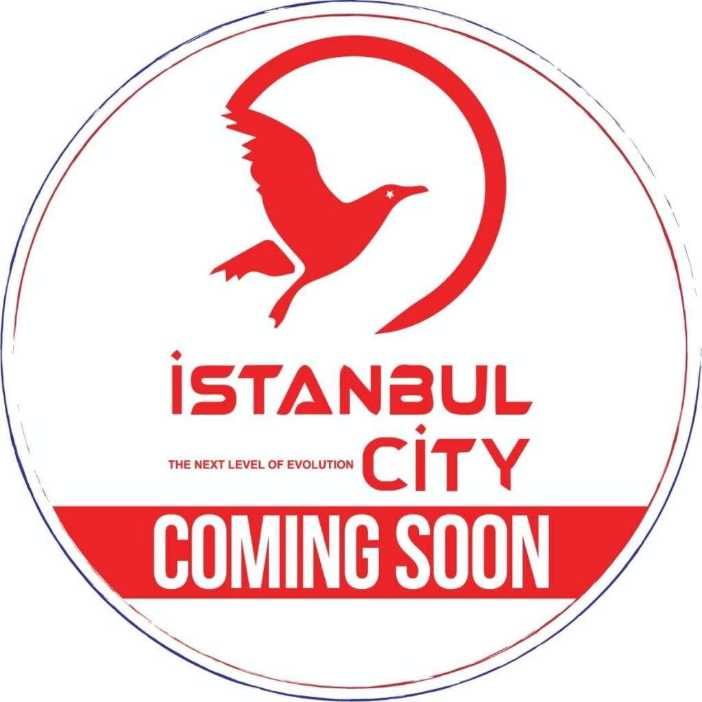 Itanbul City Logo 02